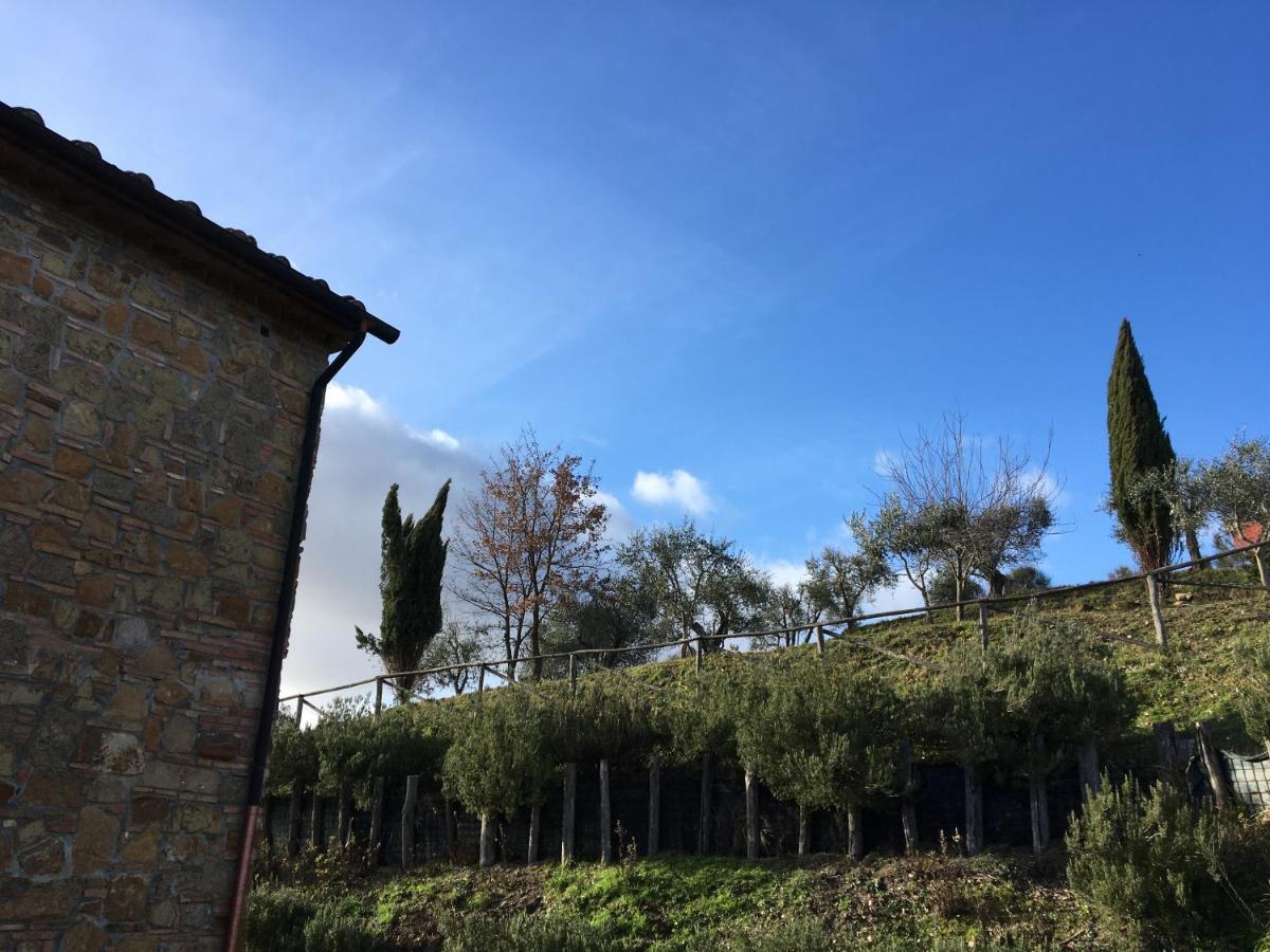 Ledonia Holiday home
